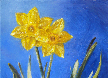 kendra-burton-art-daffodil-duet-lg