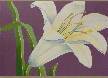 kendra-burton-art-thoroughly-modern-lily-lg